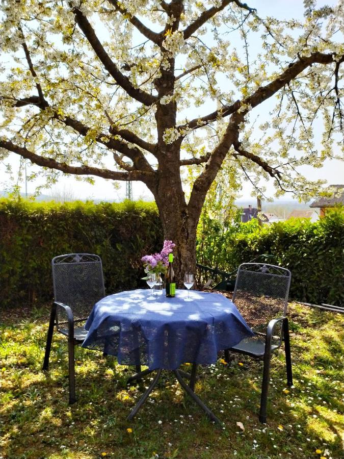 バート・ベリンゲンHaus Kramerアパートメント エクステリア 写真